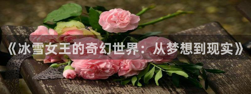 酷漫屋：《冰雪女王的奇幻世界：从梦想到现实》